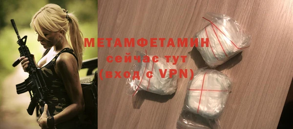 индика Бородино