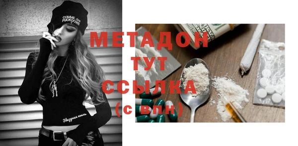 индика Бородино