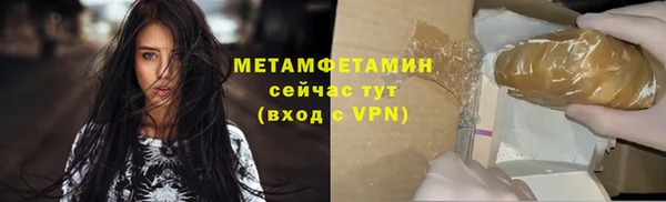 индика Бородино