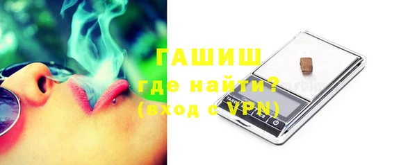 индика Бородино