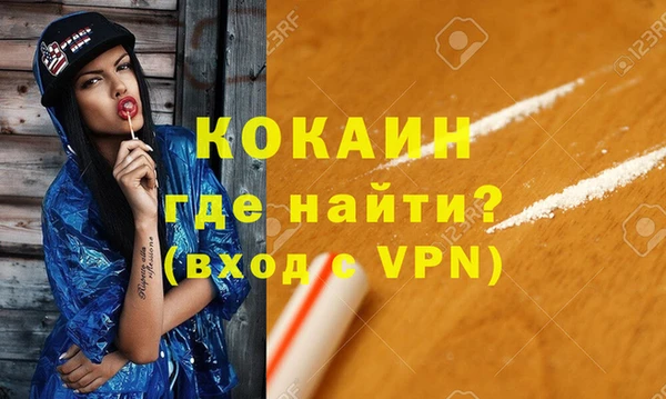 индика Бородино