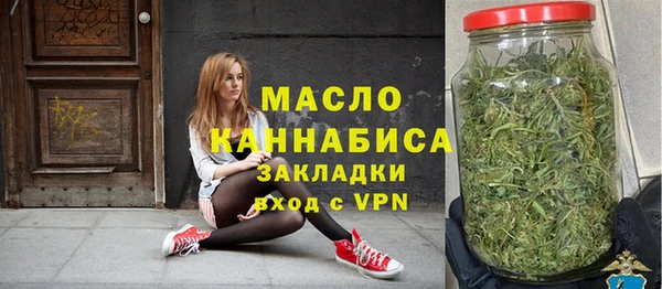 индика Бородино