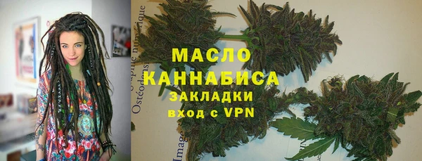 индика Бородино