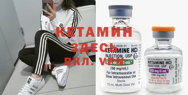 индика Бородино