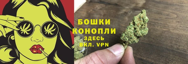 mdpv Богородицк