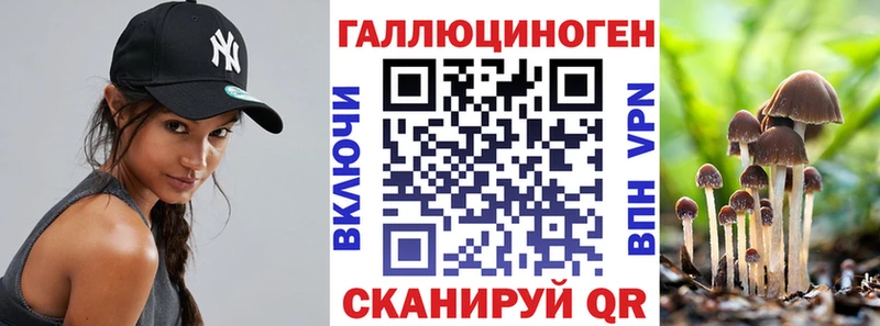 Псилоцибиновые грибы MAGIC MUSHROOMS Верещагино
